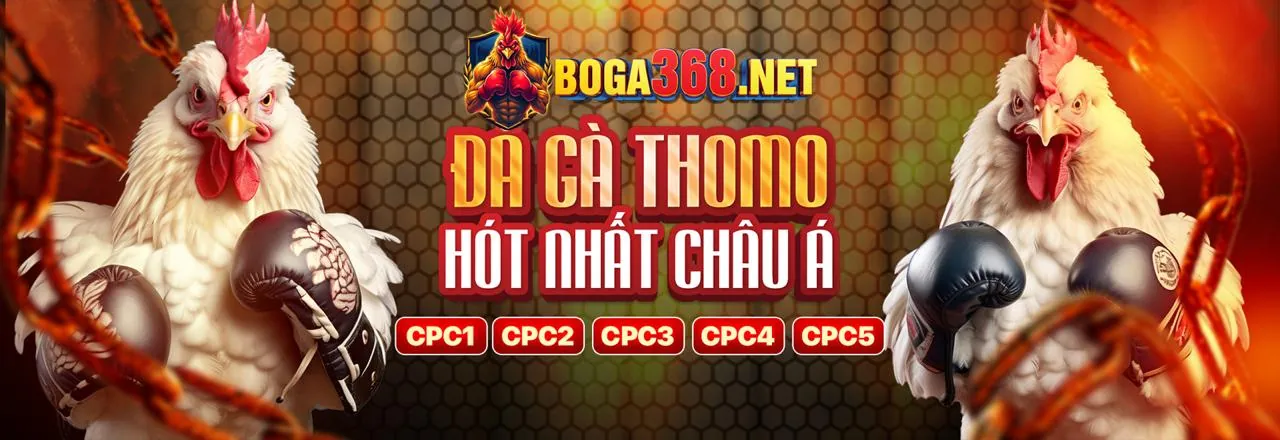 Sân vận động rực sáng với trận đấu bóng đá, thể hiện không khí cá cược sôi động trên SV888 App